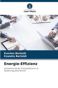 bokomslag Energie-Effizienz