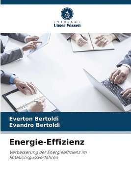 bokomslag Energie-Effizienz