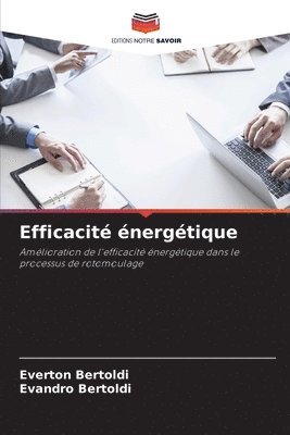 bokomslag Efficacit nergtique