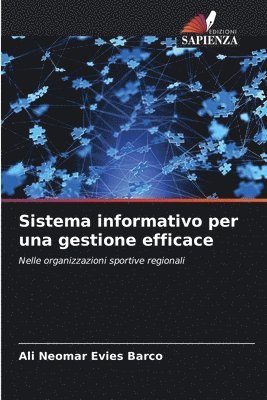 Sistema informativo per una gestione efficace