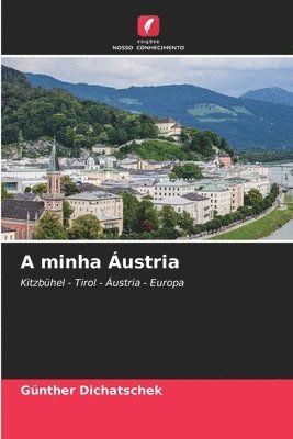 bokomslag A minha ustria