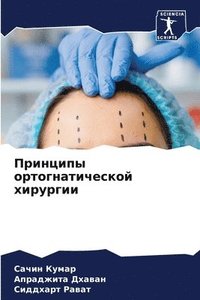 bokomslag &#1055;&#1088;&#1080;&#1085;&#1094;&#1080;&#1087;&#1099; &#1086;&#1088;&#1090;&#1086;&#1075;&#1085;&#1072;&#1090;&#1080;&#1095;&#1077;&#1089;&#1082;&#1086;&#1081;