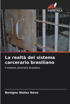 bokomslag La realt del sistema carcerario brasiliano