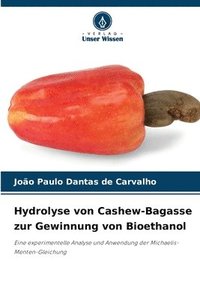 bokomslag Hydrolyse von Cashew-Bagasse zur Gewinnung von Bioethanol