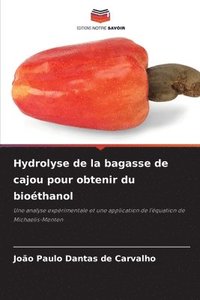 bokomslag Hydrolyse de la bagasse de cajou pour obtenir du biothanol