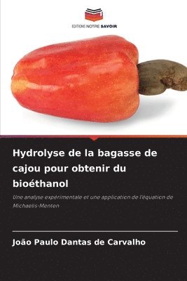 Hydrolyse de la bagasse de cajou pour obtenir du biothanol 1