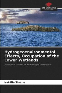 bokomslag Hydrogeoenvironmental Effects, Occupation of the Lower Wetlands