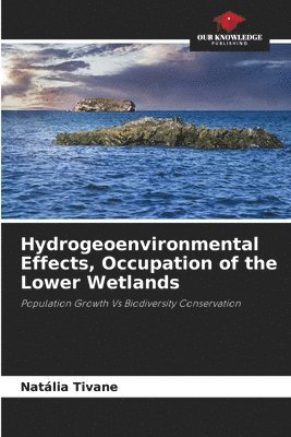 bokomslag Hydrogeoenvironmental Effects, Occupation of the Lower Wetlands