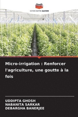 bokomslag Micro-irrigation