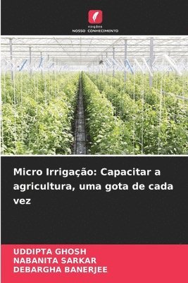 Micro Irrigao 1