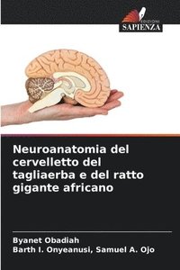 bokomslag Neuroanatomia del cervelletto del tagliaerba e del ratto gigante africano