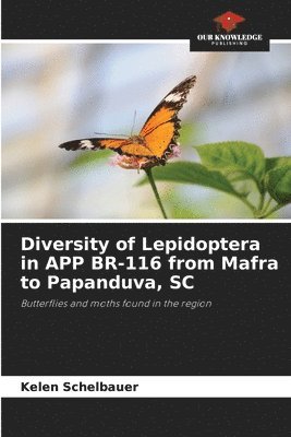 Diversity of Lepidoptera in APP BR-116 from Mafra to Papanduva, SC 1