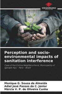 bokomslag Perception and socio-environmental impacts of sanitation interference