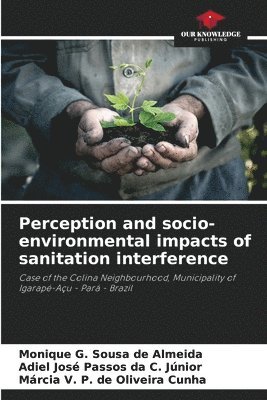 bokomslag Perception and socio-environmental impacts of sanitation interference
