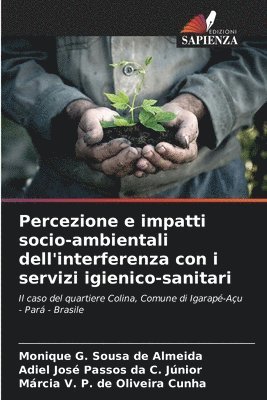 bokomslag Percezione e impatti socio-ambientali dell'interferenza con i servizi igienico-sanitari