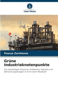 bokomslag Grne Industrieknotenpunkte