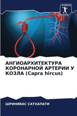 &#1040;&#1053;&#1043;&#1048;&#1054;&#1040;&#1056;&#1061;&#1048;&#1058;&#1045;&#1050;&#1058;&#1059;&#1056;&#1040; &#1050;&#1054;&#1056;&#1054;&#1053;&#1040;&#1056;&#1053;&#1054;&#1049; 1