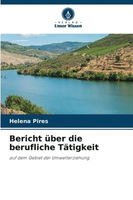 bokomslag Bericht ber die berufliche Ttigkeit