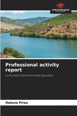 Professional activity report 1