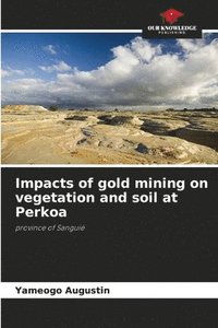 bokomslag Impacts of gold mining on vegetation and soil at Perkoa