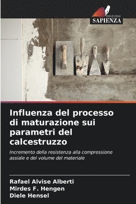 bokomslag Influenza del processo di maturazione sui parametri del calcestruzzo