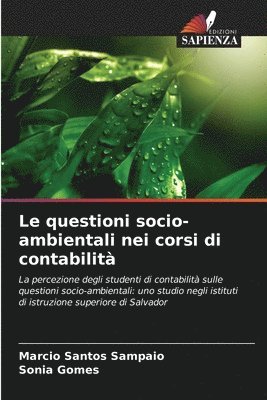 bokomslag Le questioni socio-ambientali nei corsi di contabilit