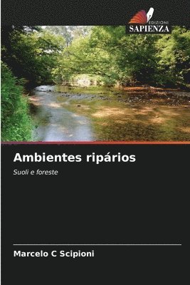 bokomslag Ambientes riprios