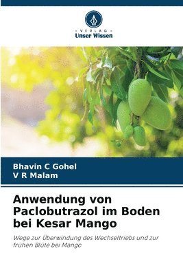 Anwendung von Paclobutrazol im Boden bei Kesar Mango 1