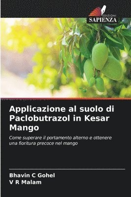 Applicazione al suolo di Paclobutrazol in Kesar Mango 1