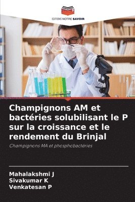 Champignons AM et bactries solubilisant le P sur la croissance et le rendement du Brinjal 1