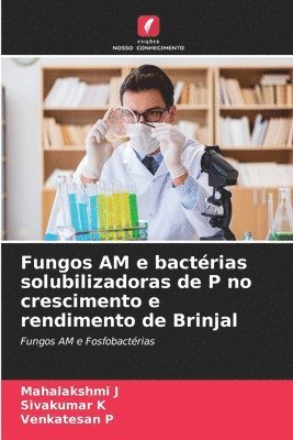 Fungos AM e bactrias solubilizadoras de P no crescimento e rendimento de Brinjal 1