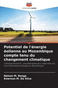 bokomslag Potentiel de l'nergie olienne au Mozambique compte tenu du changement climatique