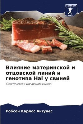 bokomslag &#1042;&#1083;&#1080;&#1103;&#1085;&#1080;&#1077; &#1084;&#1072;&#1090;&#1077;&#1088;&#1080;&#1085;&#1089;&#1082;&#1086;&#1081; &#1080; &#1086;&#1090;&#1094;&#1086;&#1074;&#1089;&#1082;&#1086;&#1081;