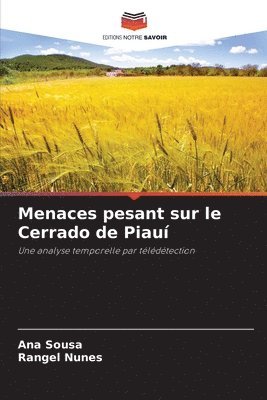 bokomslag Menaces pesant sur le Cerrado de Piau