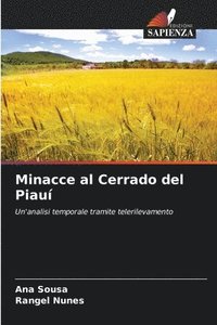 bokomslag Minacce al Cerrado del Piau