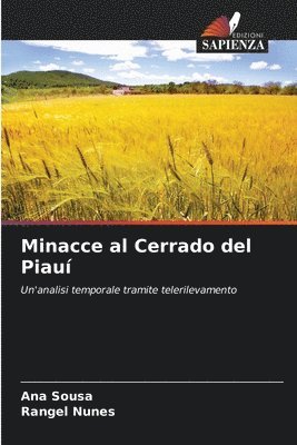 bokomslag Minacce al Cerrado del Piau