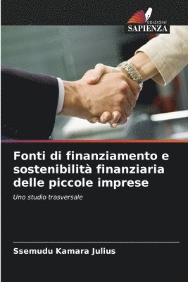 bokomslag Fonti di finanziamento e sostenibilit finanziaria delle piccole imprese