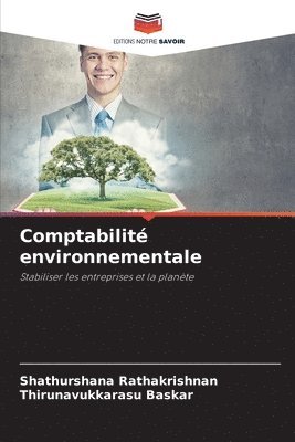 bokomslag Comptabilit environnementale