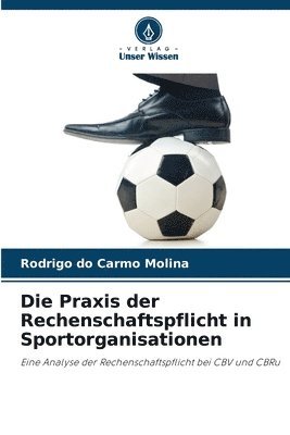 bokomslag Die Praxis der Rechenschaftspflicht in Sportorganisationen