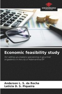 bokomslag Economic feasibility study