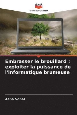 bokomslag Embrasser le brouillard