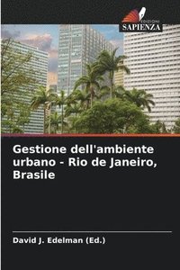 bokomslag Gestione dell'ambiente urbano - Rio de Janeiro, Brasile