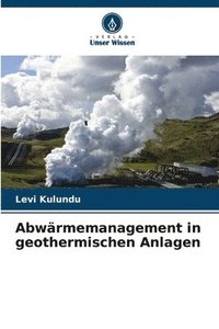bokomslag Abwrmemanagement in geothermischen Anlagen
