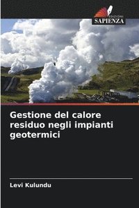 bokomslag Gestione del calore residuo negli impianti geotermici