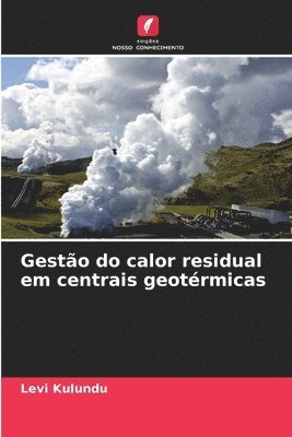 bokomslag Gesto do calor residual em centrais geotrmicas