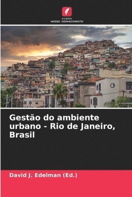 Gesto do ambiente urbano - Rio de Janeiro, Brasil 1