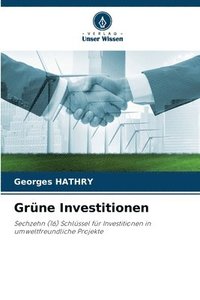 bokomslag Grne Investitionen