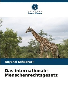 bokomslag Das internationale Menschenrechtsgesetz