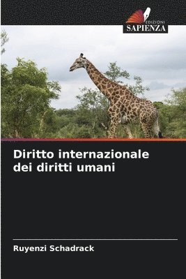 bokomslag Diritto internazionale dei diritti umani