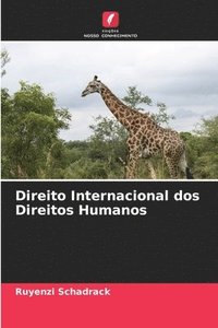 bokomslag Direito Internacional dos Direitos Humanos